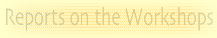 Reports on the Workshops